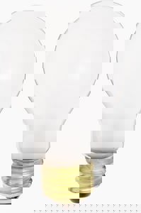 CCN 100W INCAND BULB A21 MED 12V FR